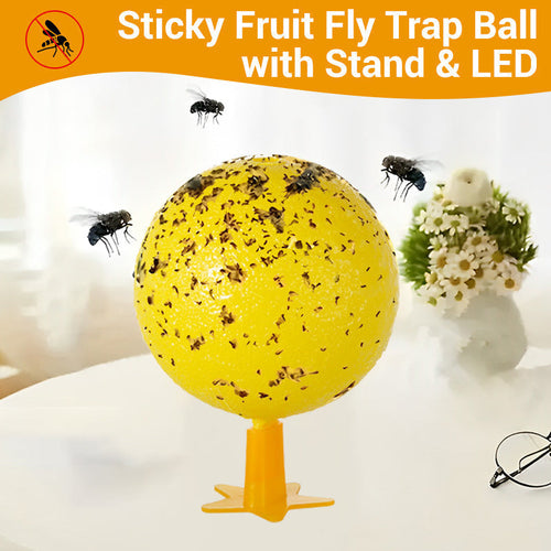⏰🔥Sticky Fruit Fly Trap Ball with Stand & LED