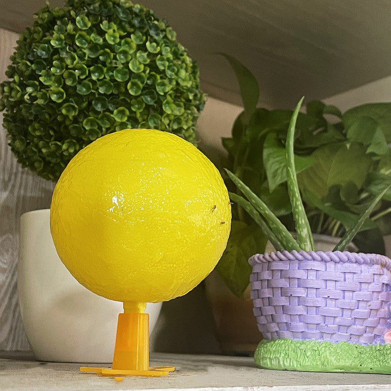 ⏰🔥Sticky Fruit Fly Trap Ball with Stand & LED