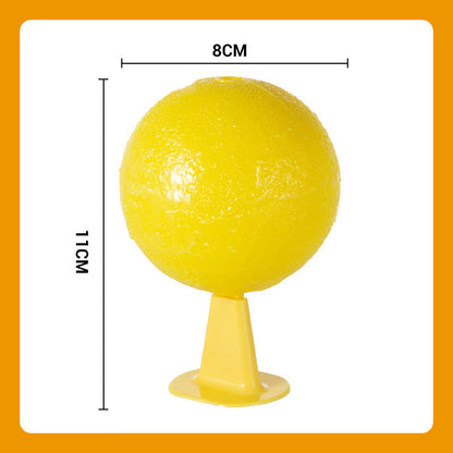 ⏰🔥Sticky Fruit Fly Trap Ball with Stand & LED